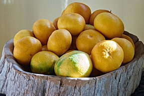 Orangen in einer Schale von Elisabeth Sommitsch
